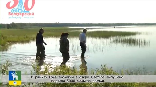 Важные события 2017 года