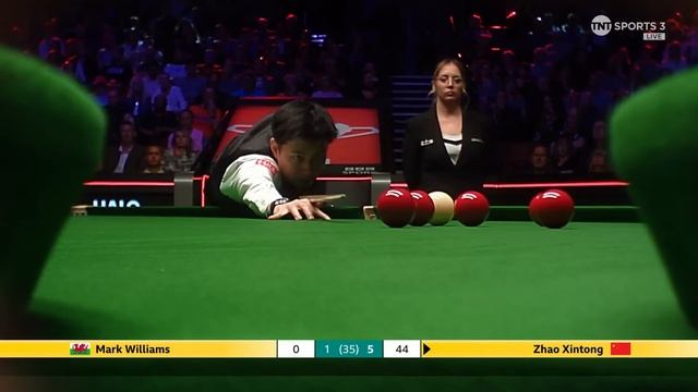 Zhao Continues To Dominate Williams In Final!  | 2025 Halo World Championship Final Highlights
