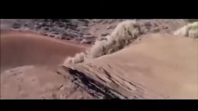 приколы с машинами 1