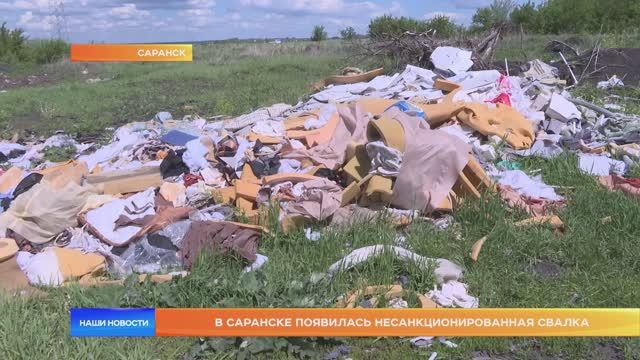 В Саранске появилась несанкционированная свалка