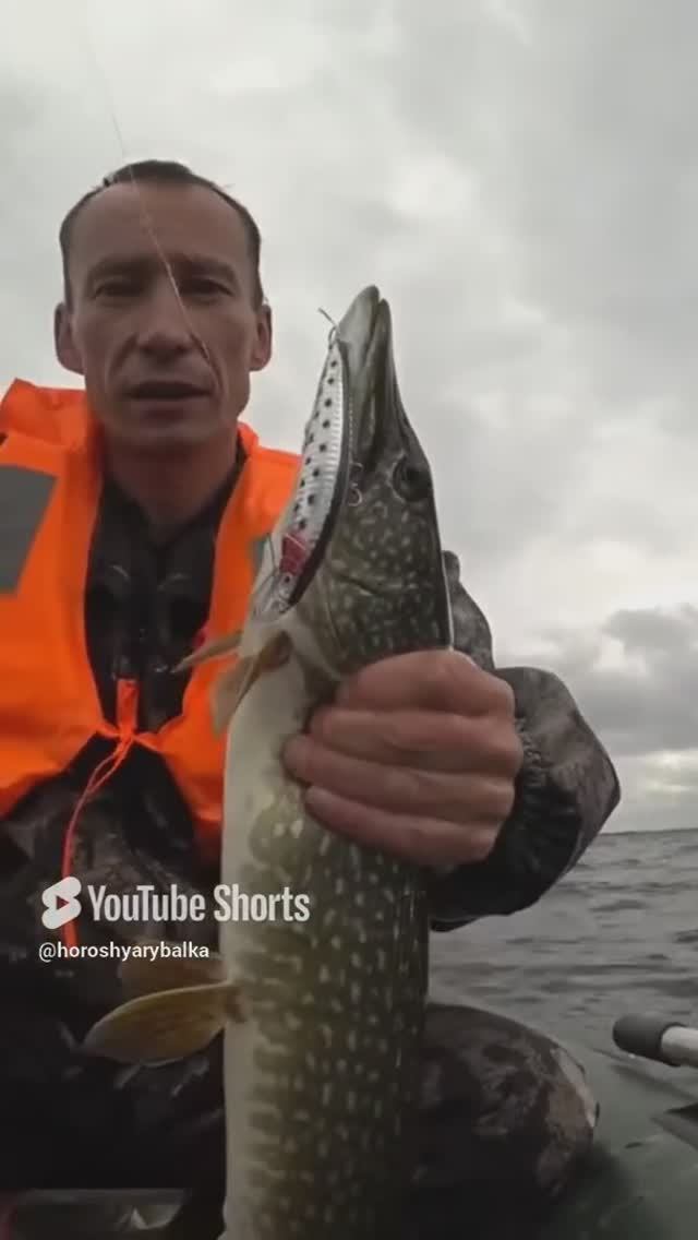 ЭЛЕКТРОННЫЙ ВОБЛЕР.