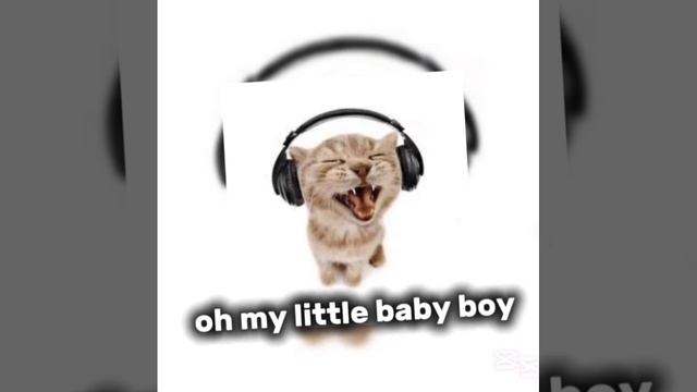 my little baby boy