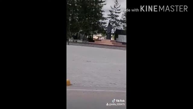 Приколы