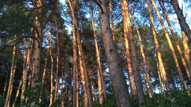 Кисловодск: Долина Роз. И классное упражнение для счас