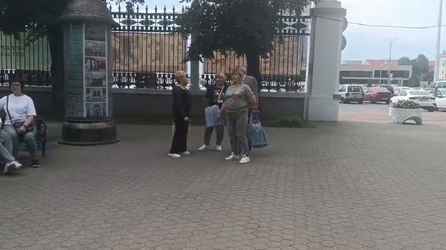 16.06.2024. Рябина кудрявая. Гомель, парк.