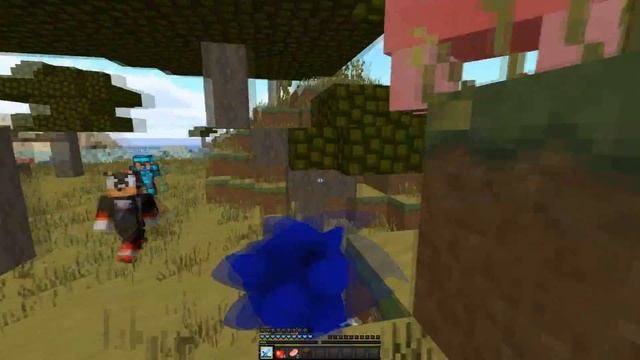 КАК МЕНЯЛСЯ СОНИК И ЕГО ЖИЗНЕННЫЙ ЦИКЛ В МАЙНКРАФТ/ЭВОЛЮЦИЯ СОНИКА В MINECRAFT/SONIC