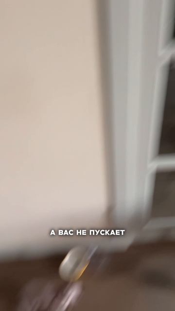 «Кот лижет пластиковые пакеты и всё время нюхает химию. Что не так?»