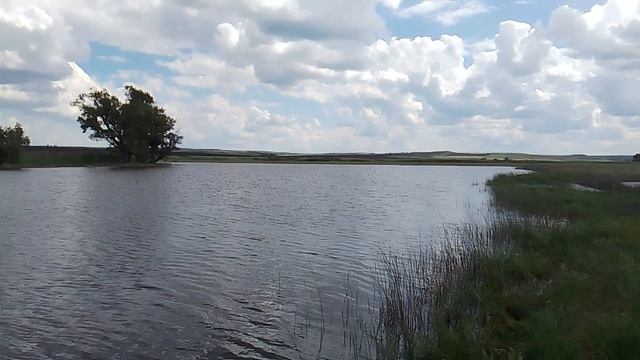 VID_20250521_120019.mp4 на озере