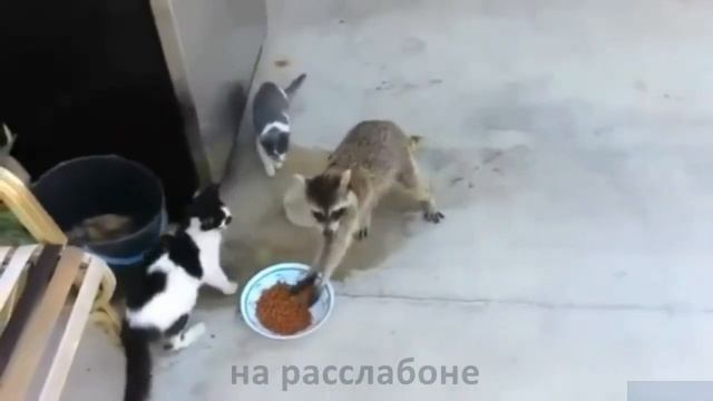 Я на минуточку. Юмор, приколы, позитив 2018