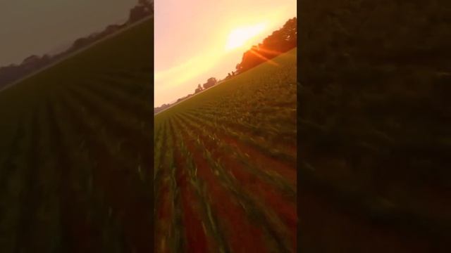 Бог вытрит слезы с их глаз