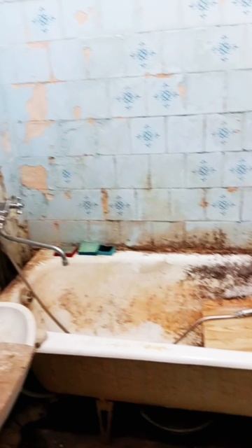 ВЗЯЛИ КВАРТИРУ С ТАРАКАНАМИ, А СДЕЛАЕМ КОНФЕТКУ