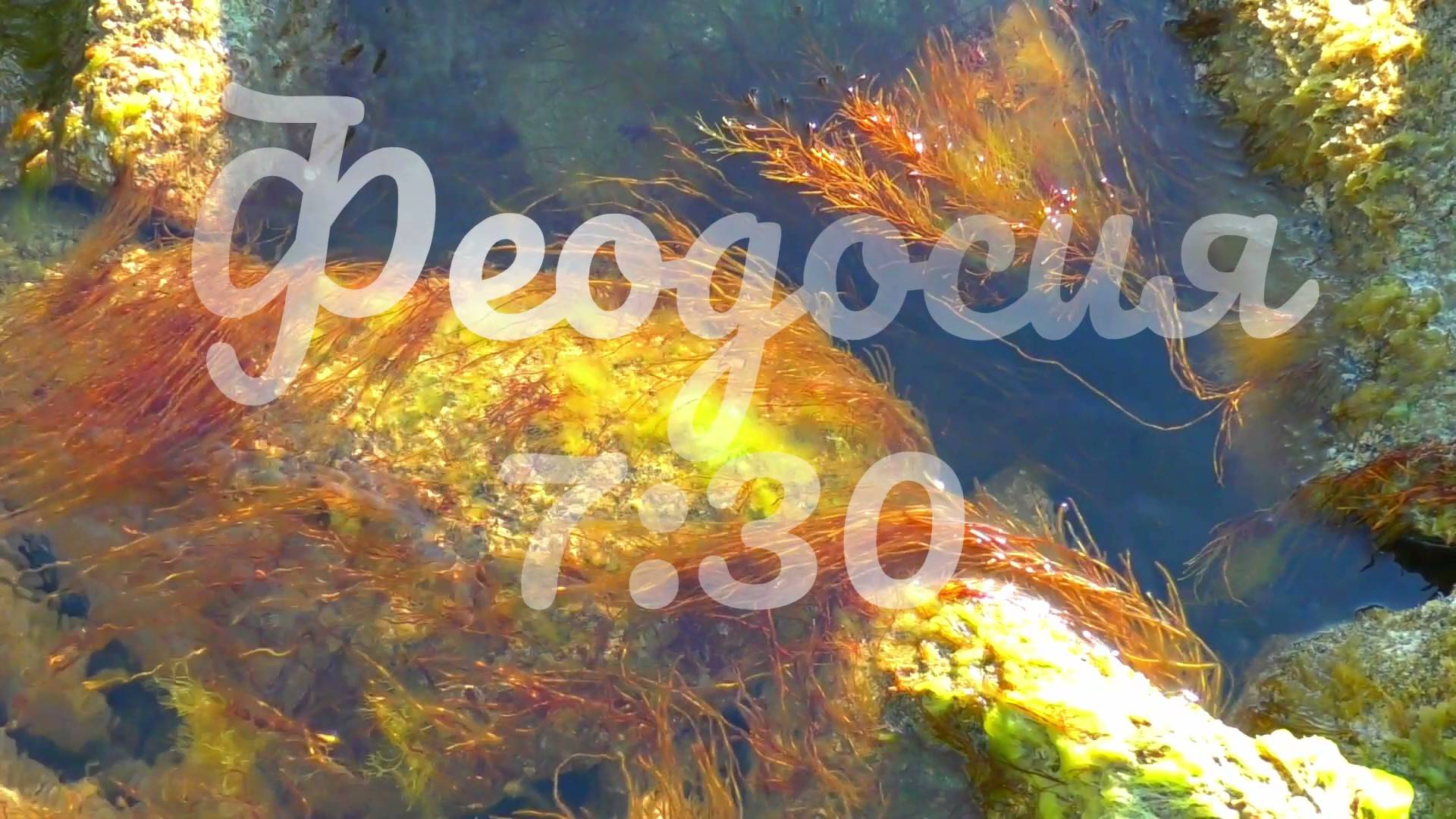 Феодосия 7:30