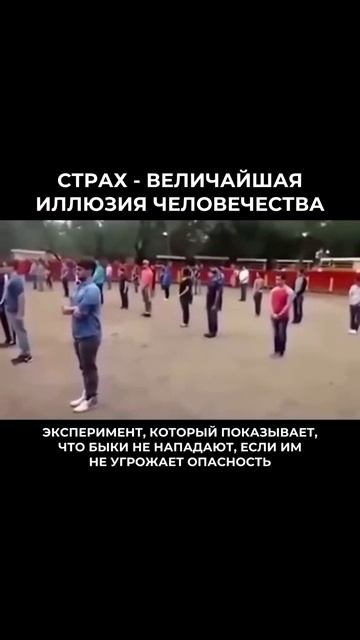 Спокойствие, чтобы выйти из иллюзий и тревог🫶