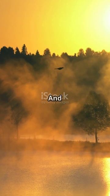 iDreams of You_ A Silent Journey 2025-05-21