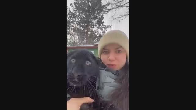 Кого так испугалась пантера