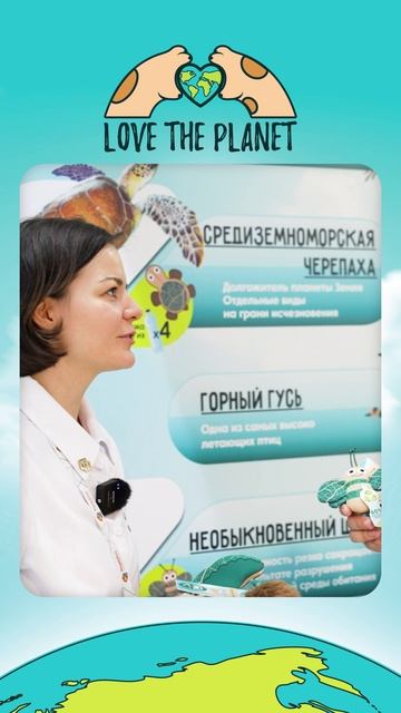 Новая коллекция игрушек и аксессуаров для домашних питомцев