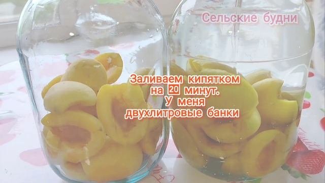 Абрикосы по акции за 100 рублей, хватит на компоты и вар?
