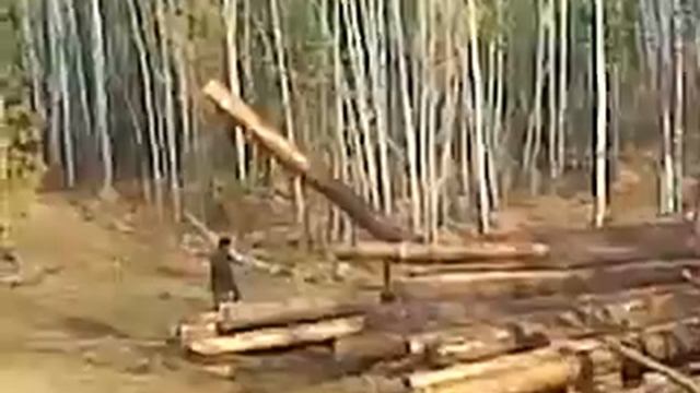 Сунь голову