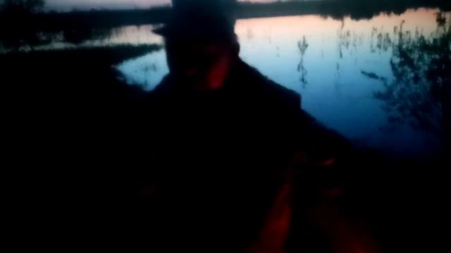 Прокатили на коне неизвестное существо! #батя