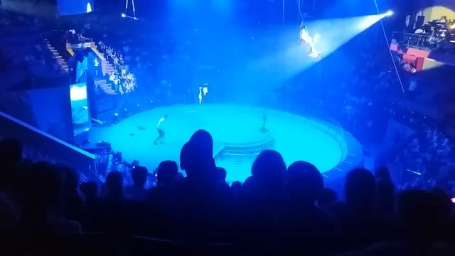 Водний цирк у Львові