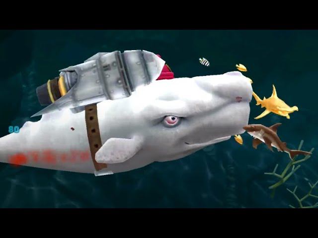 Hungry Shark Evolution [Android] Gameplay #7