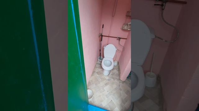 video5289639416325764567