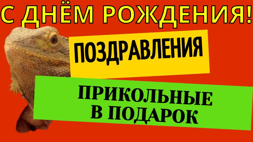 Прикольные поздравления с днём рождения подарок