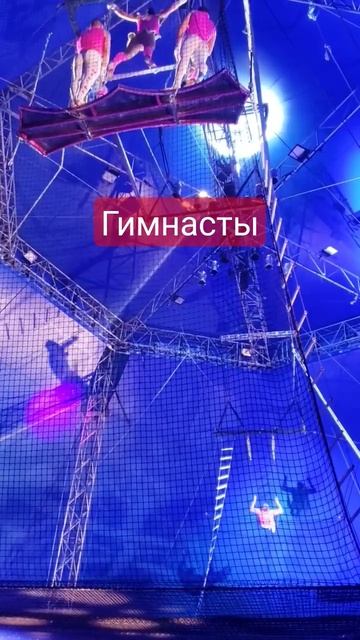 Как летают! Гимнасты в воздухе! Шоу удалось! Цирк в Калифорнии #circus  Мы идём в цирк 🎪 #shorts