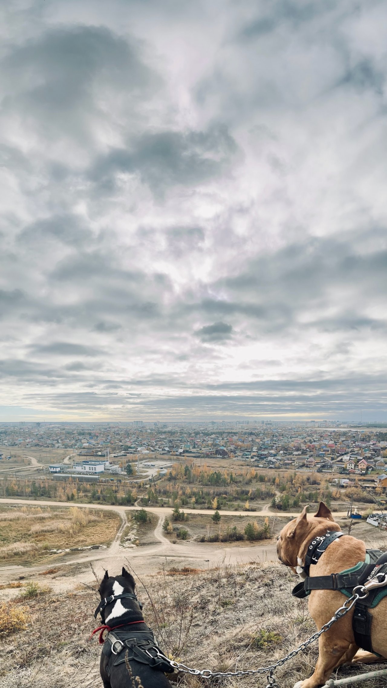 Восстановление после инсульта