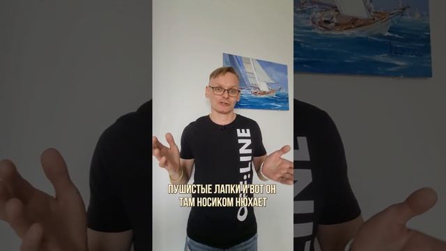 КТО БОИТСЯ ЗАЙЦЕВ?

#поверьвсебя 
#психологиядостижений 
#Замалевский