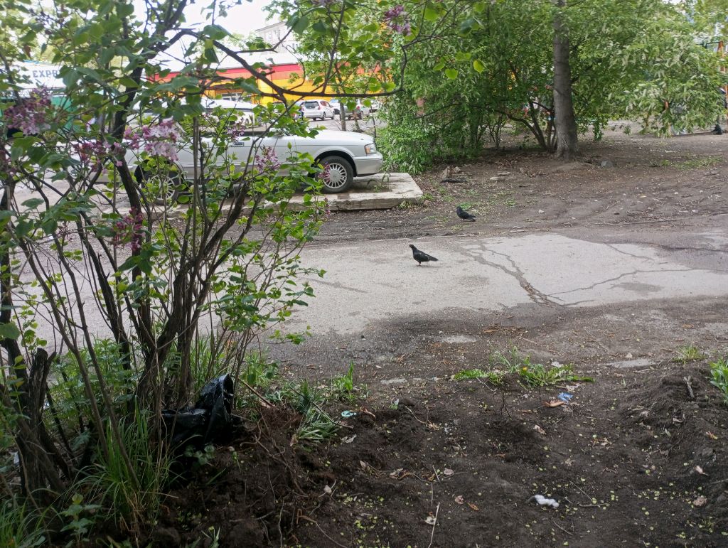 гулять