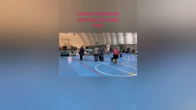 РКФ выставка Ульяновск РОС