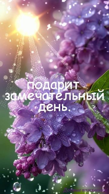Доброе утро! 🌸🌺🌼🌷🌹☕💐🎀#музыкальнаяоткрытка#добрыепожелания#подписывайтесь#пльсла