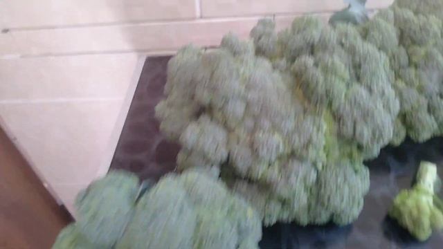 Капуста брокколи так и прёт.