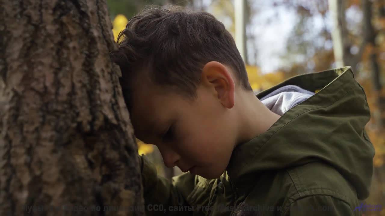 Поля колышутся в ритме! - Maxim Gun -- Red Crickets -- Red Crickets