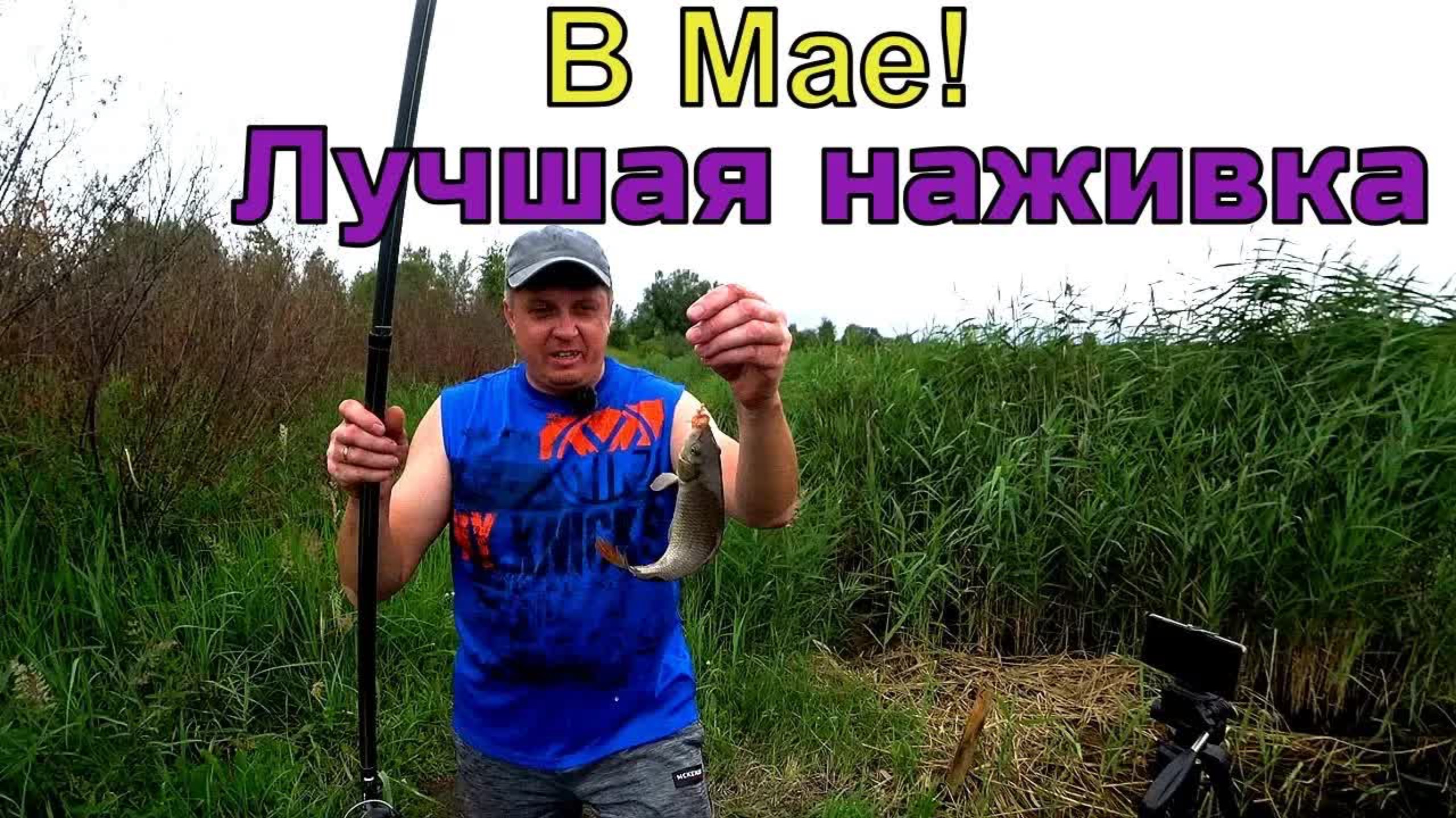 Как быстро в Мае поймать рыбу. Наживка опарыш и добавил это!