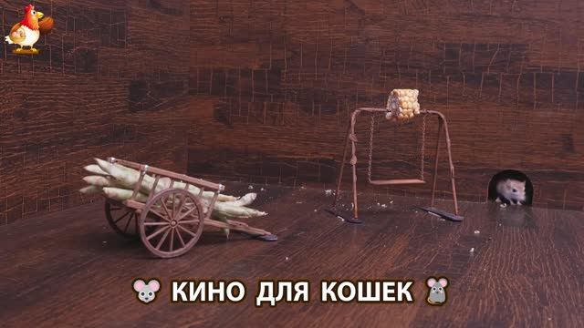 Видео для кошек про крысок развлекать питомцев 🐭🐀😂 (116)