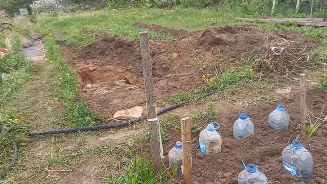 Дача выглядит так 14-ого Мая, под баклажками перец, идёт