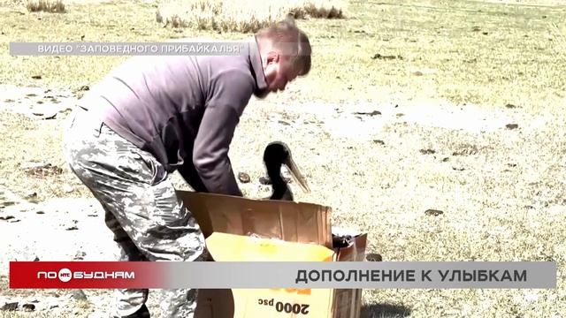 "По весточке": дополнение к улыбкам