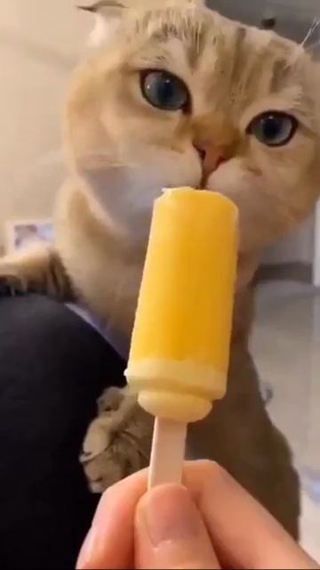 Вкусняшка)))