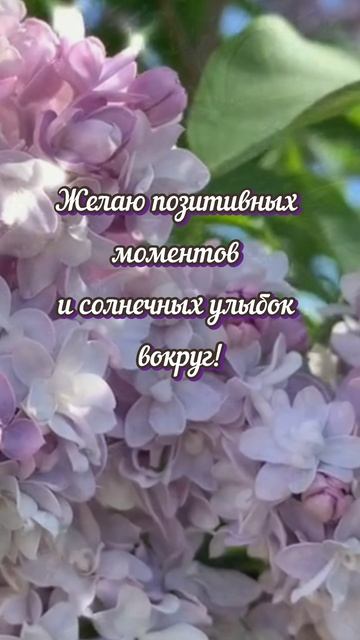 С добрым утром!#весна#пожелания#доброеутро#shorts