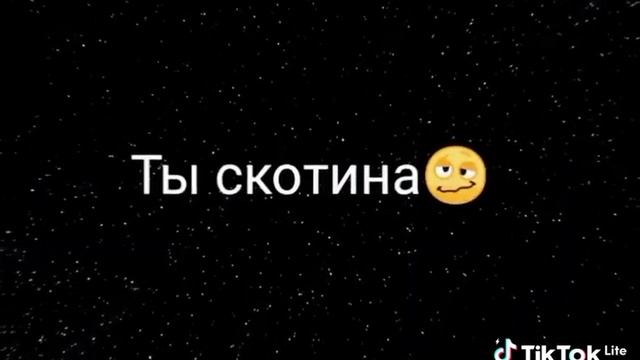 смешно смешные видосики