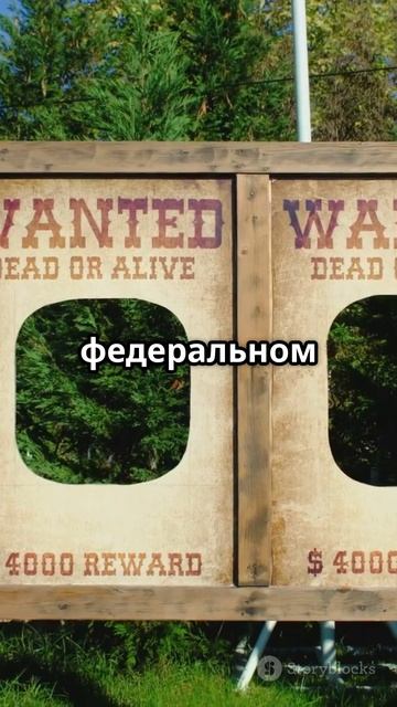 В России создадут открытый реестр злостных неплательщиков алиментов — нововведение от Минюста РФ