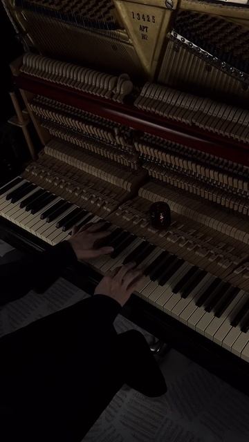 Mariage d'Amour - Paul de Senneville #aesthetic #piano #calm