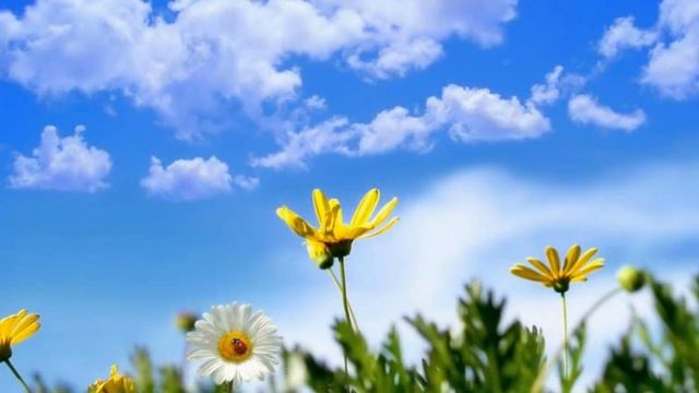 С Добрым Утром🌸