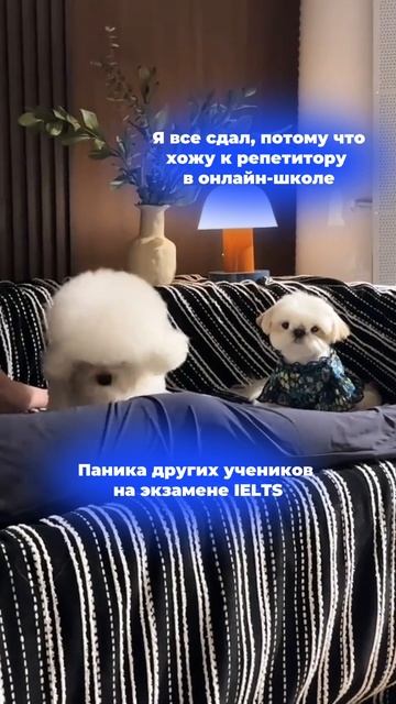 Мы уже отобрали сильнейших репетиторов из США, Канады и Европы. Мы ждем вас в SHKOLA!