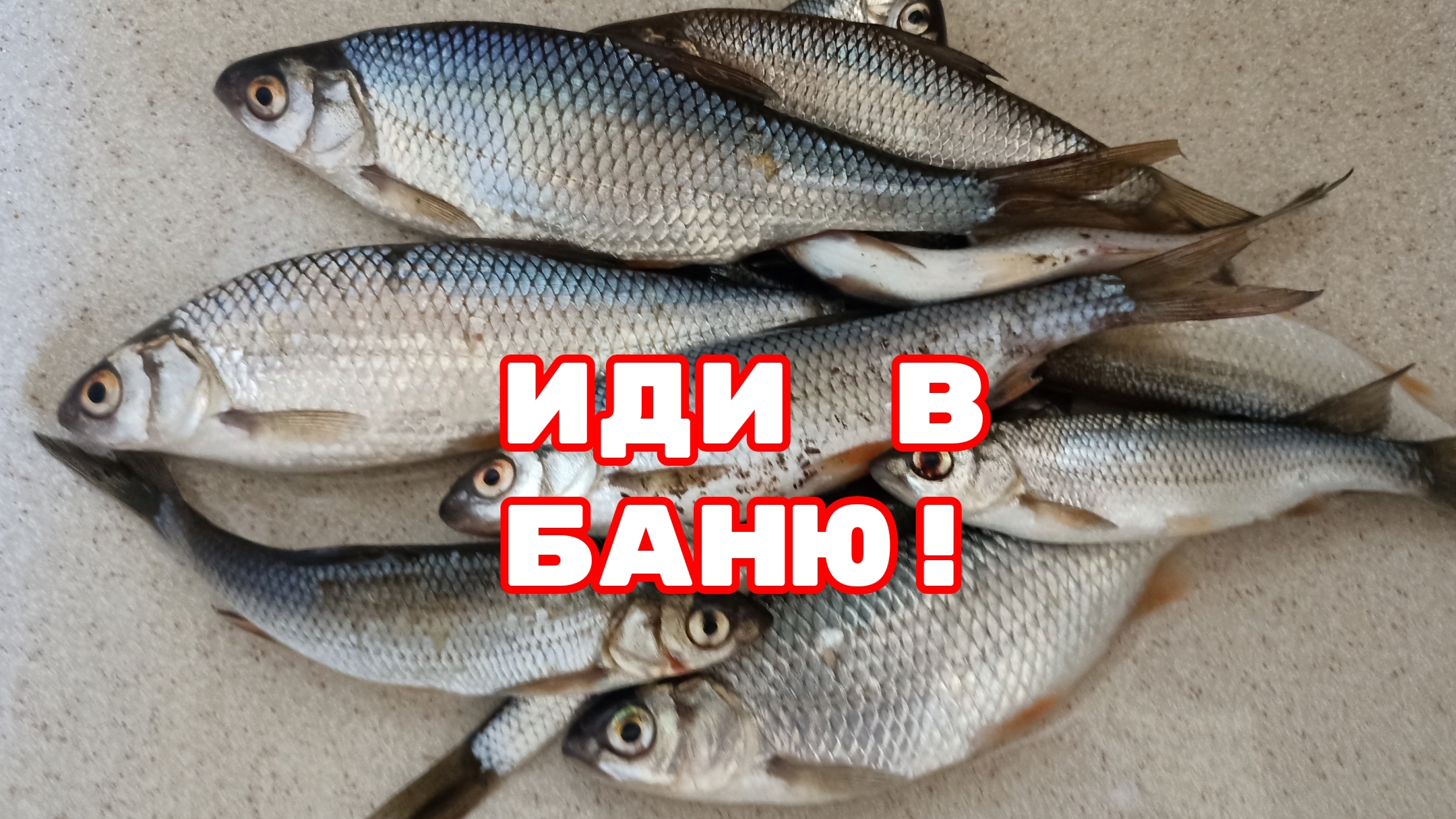 Иди в баню!