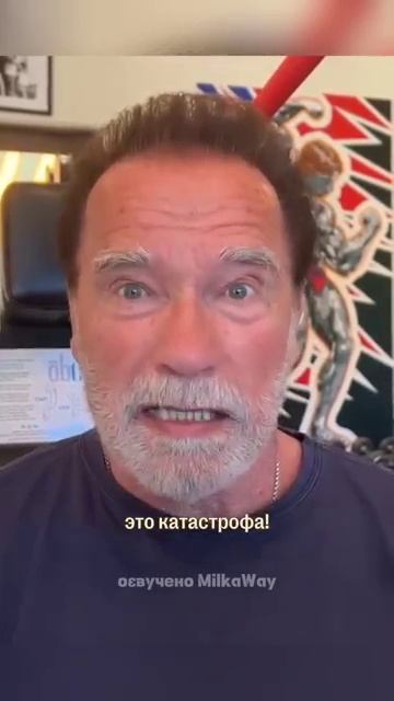 Не железный Шварц