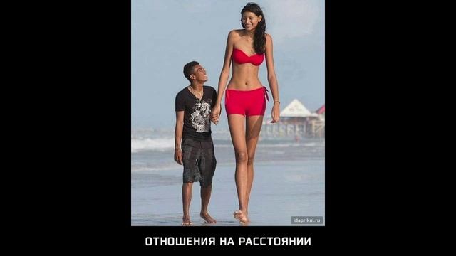 Весёлые картинки №1