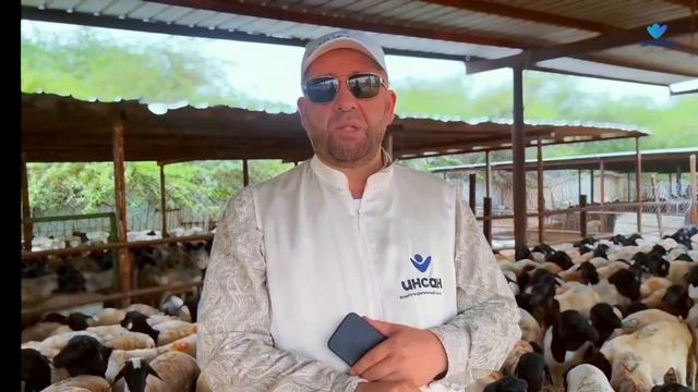 Приближается Курбан-байрам. В БФ «Инсан» начался прием  на совершение жертвоприношения в Мекке